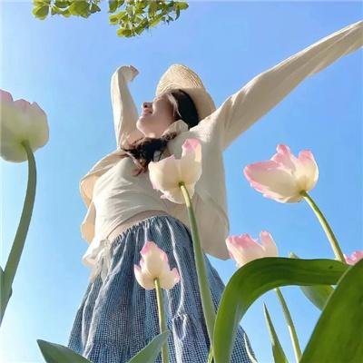 猫儿协奏曲